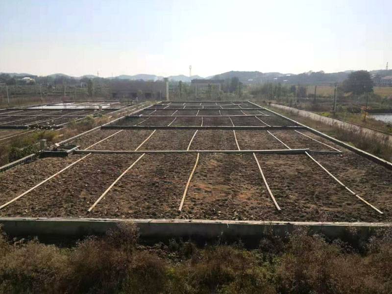 人(rén)工(gōng)快(kuài)滲池2