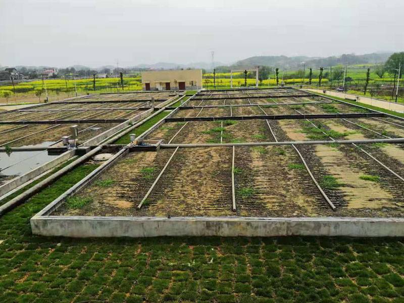 人(rén)工(gōng)快(kuài)滲池3