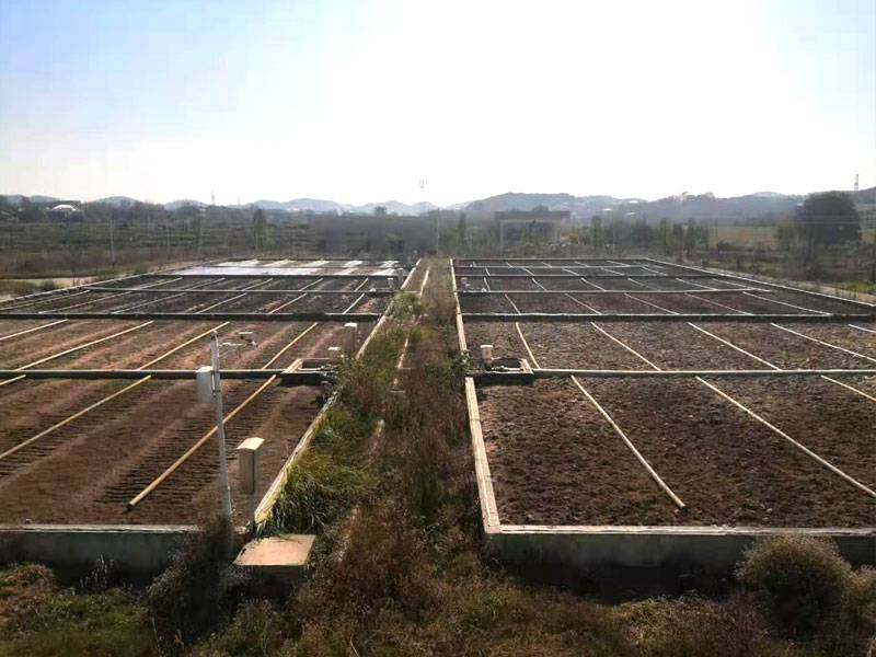 人(rén)工(gōng)快(kuài)滲池1